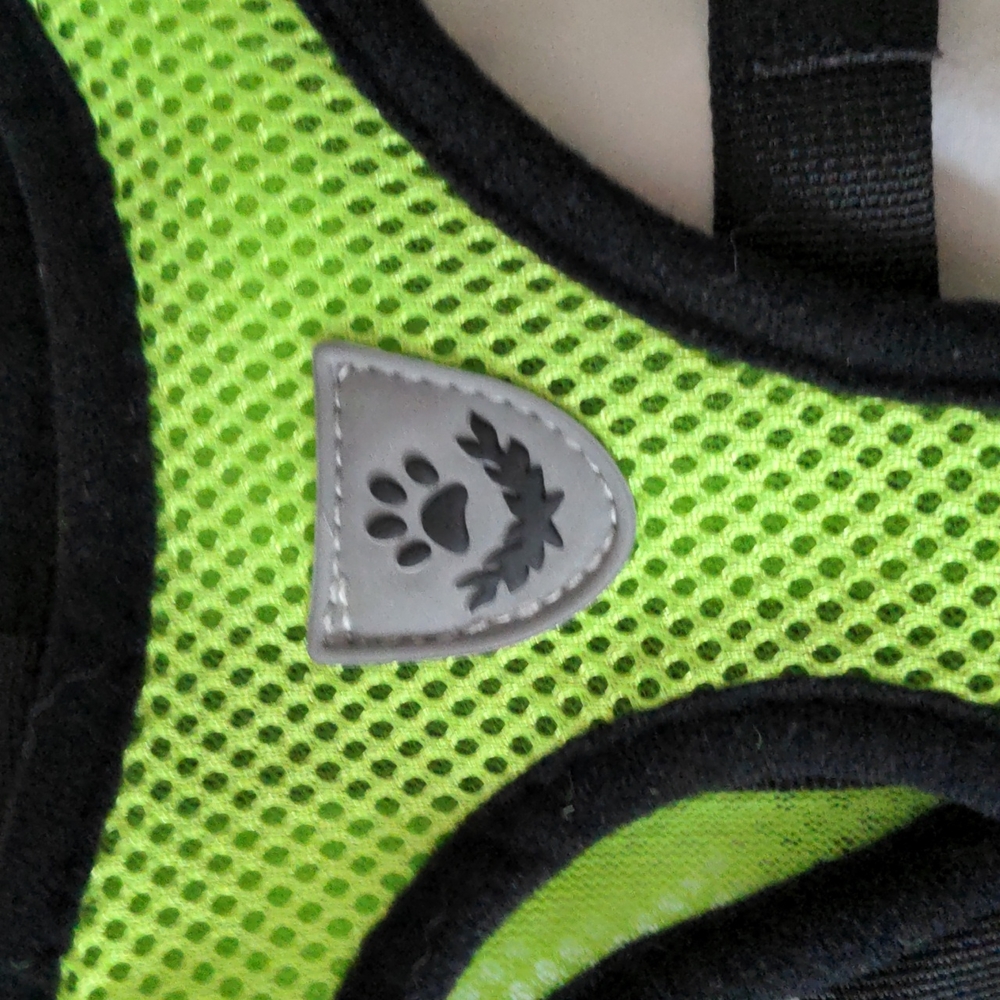 NWOT Neon green harness and leash - Picture 2 of 8